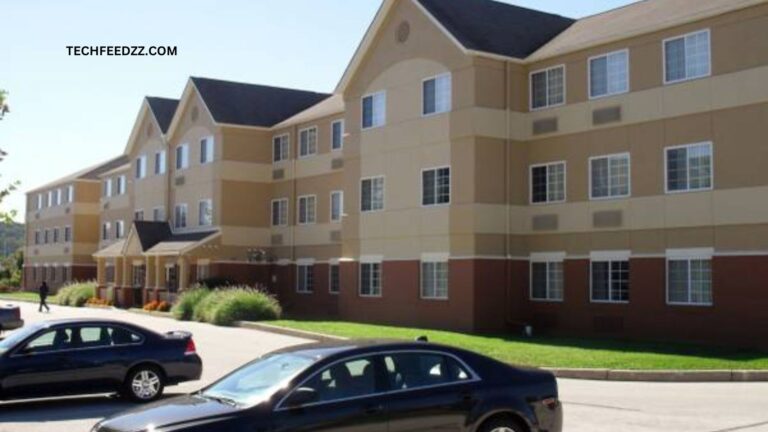 Primrose Apartments A Complete Handbook to Living at Primrose Apartments